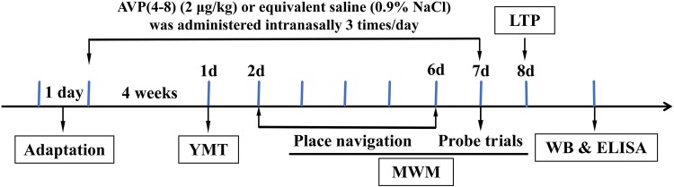 Fig. 1