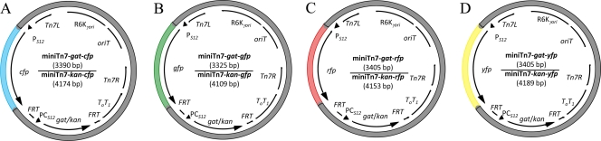 FIG. 1.