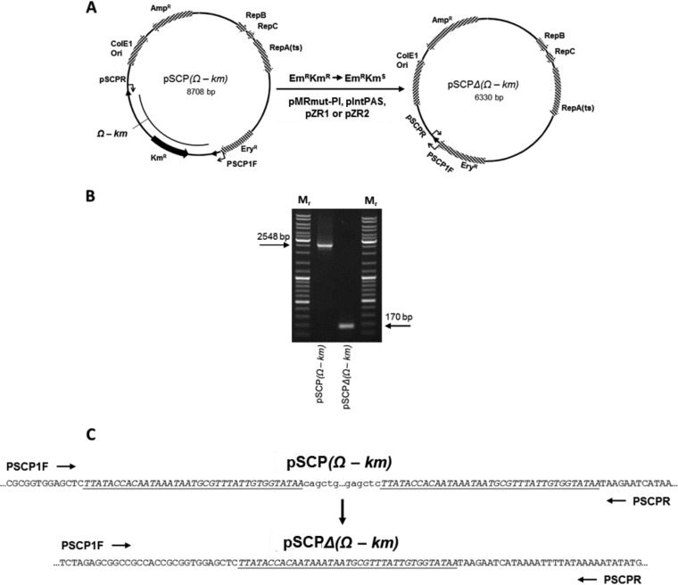 FIG 5