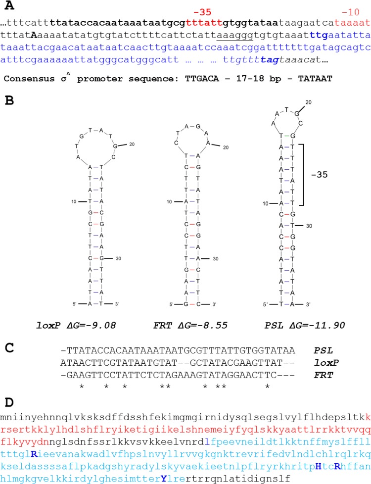 FIG 3