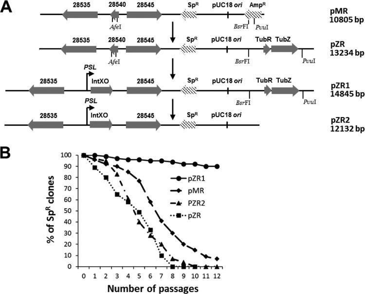 FIG 2