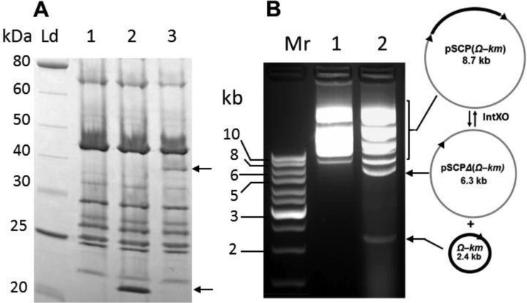 FIG 6