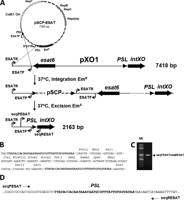 FIG 4