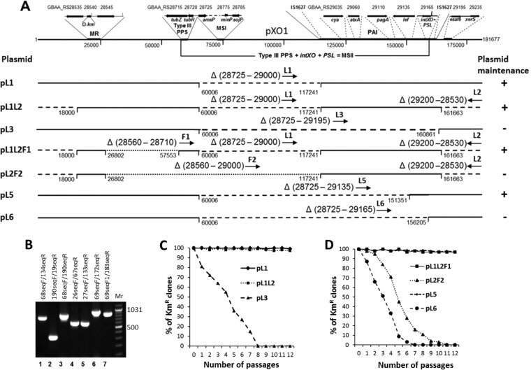 FIG 1