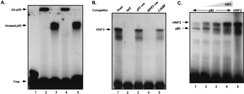 FIG. 5