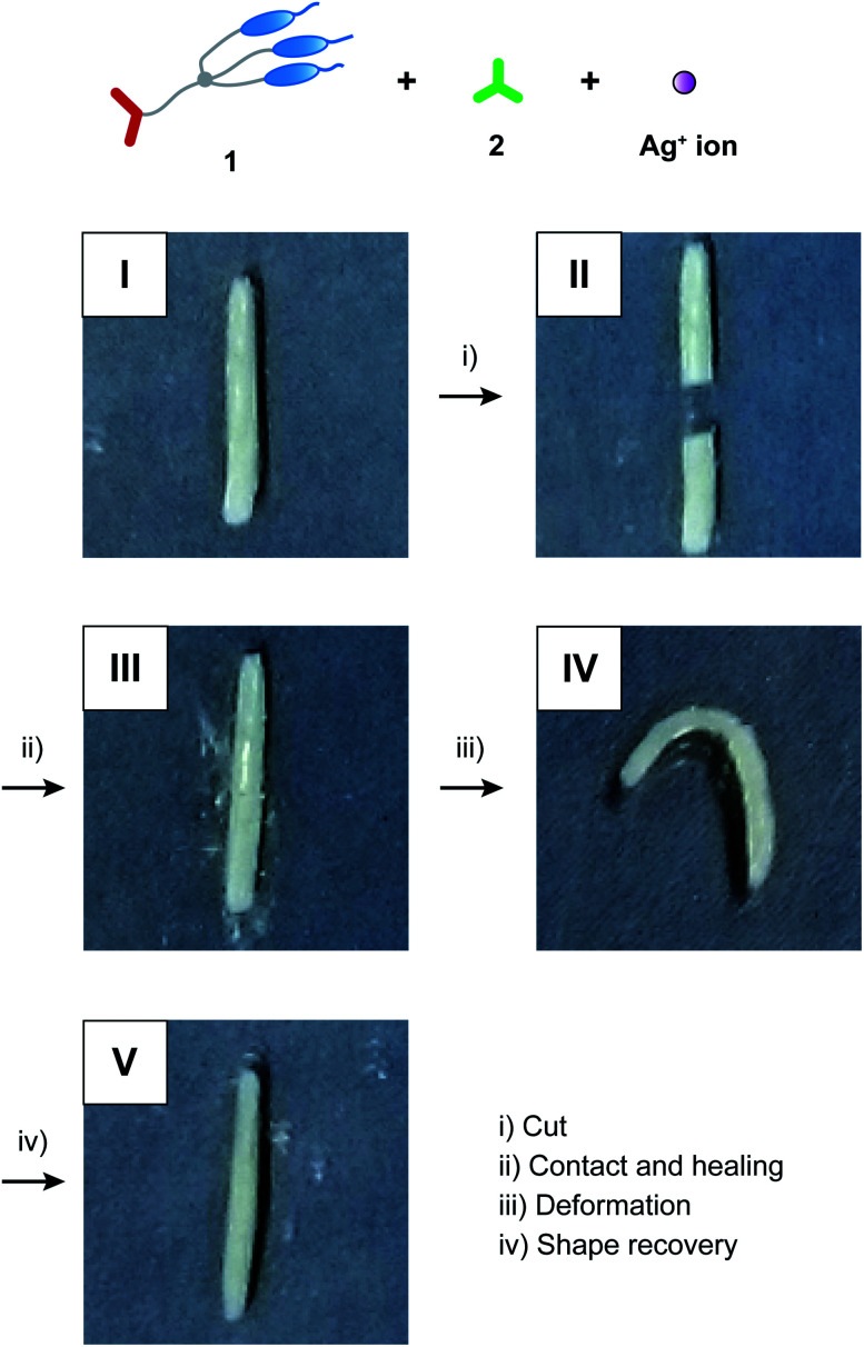 Fig. 5