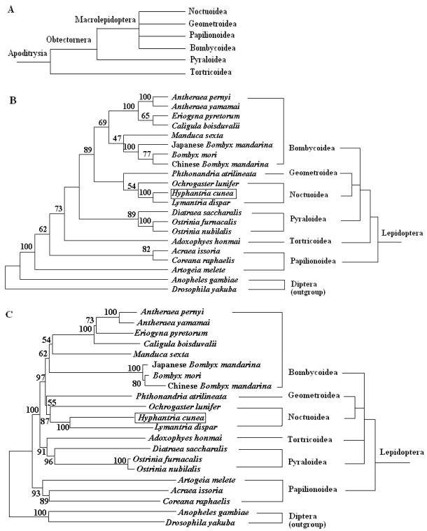 Fig 6