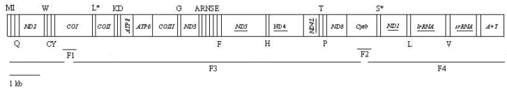 Fig 1