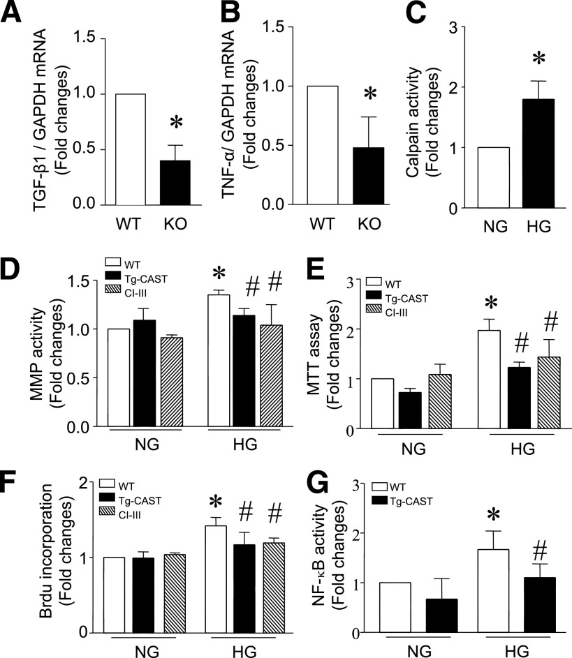 FIG. 7.