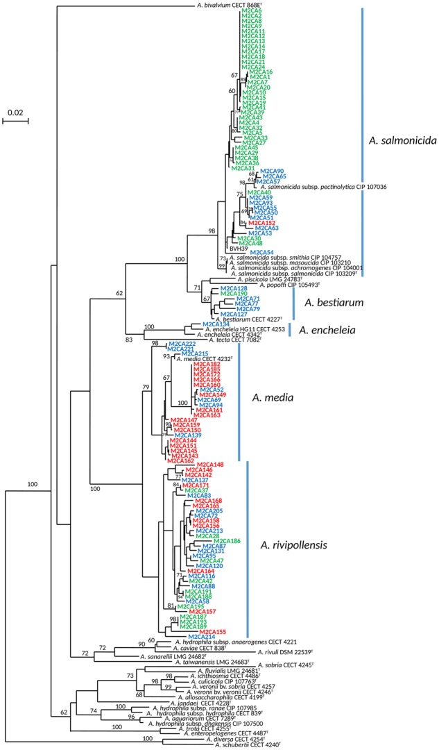 FIGURE 2