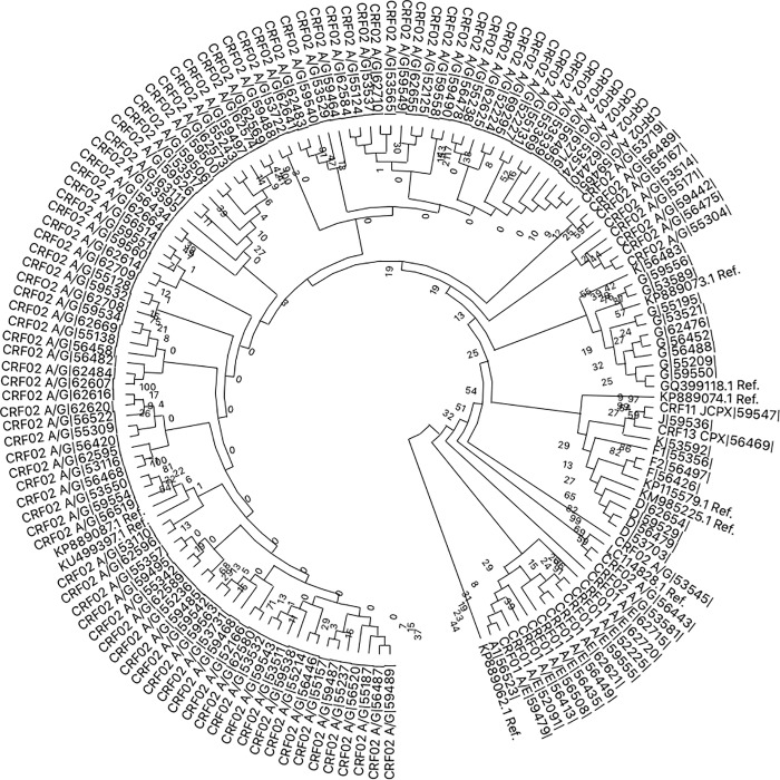 Fig 1