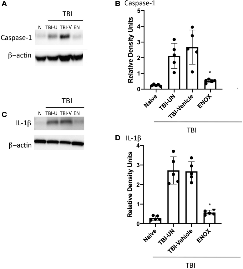 FIG. 2.