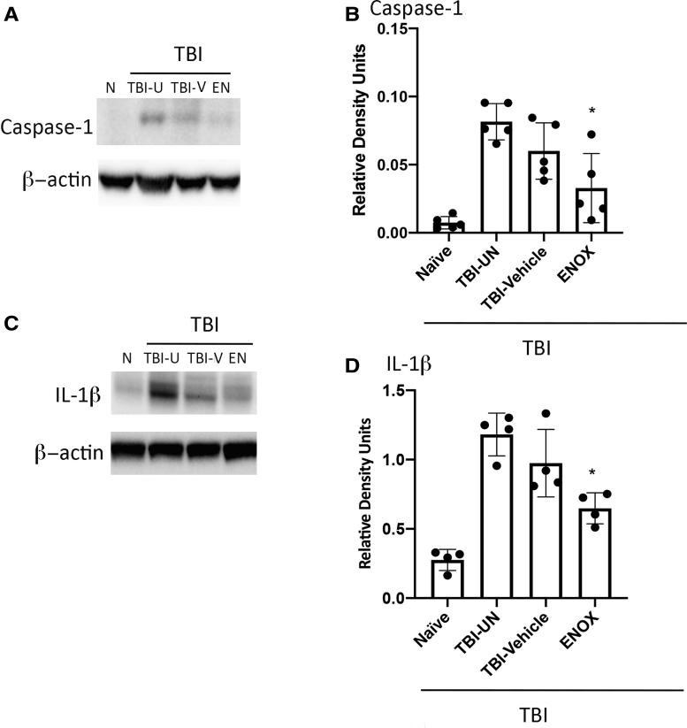 FIG. 1.