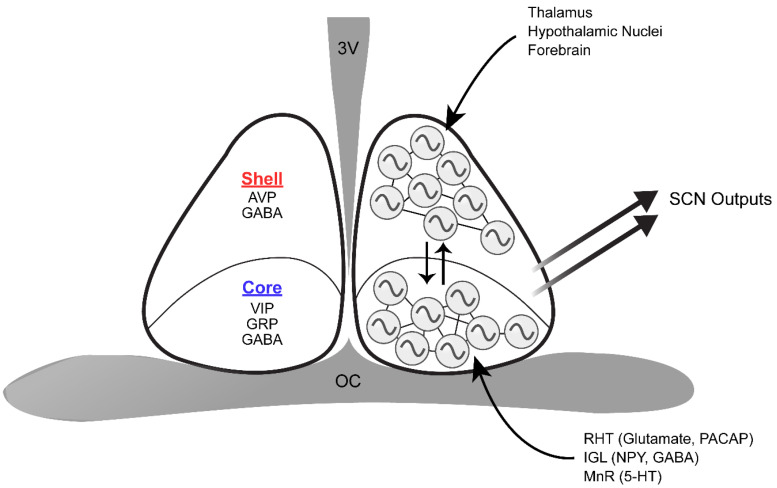 FIGURE 2