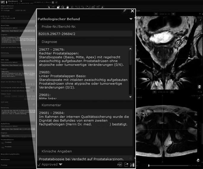 graphic file with name 117_2021_924_Fig3_HTML.jpg