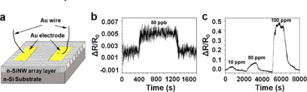 Fig. 12