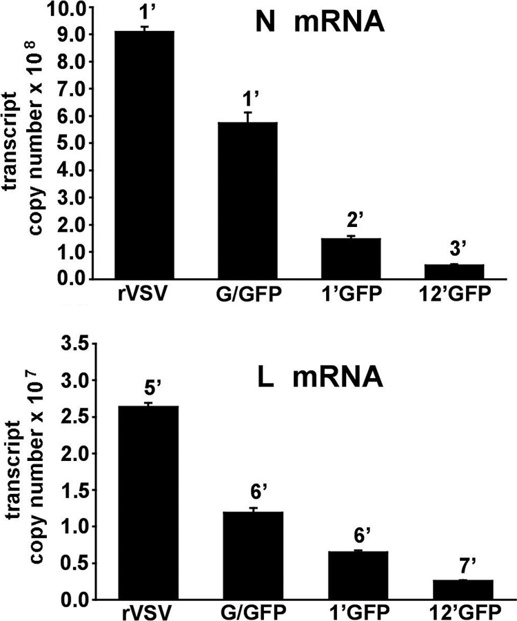 Fig 5