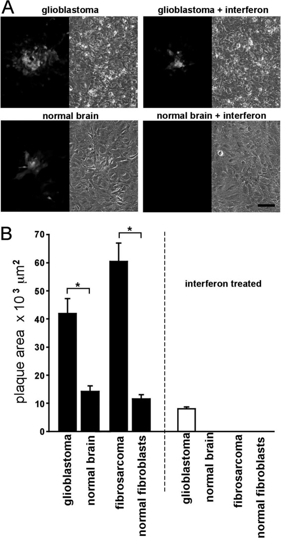 Fig 8