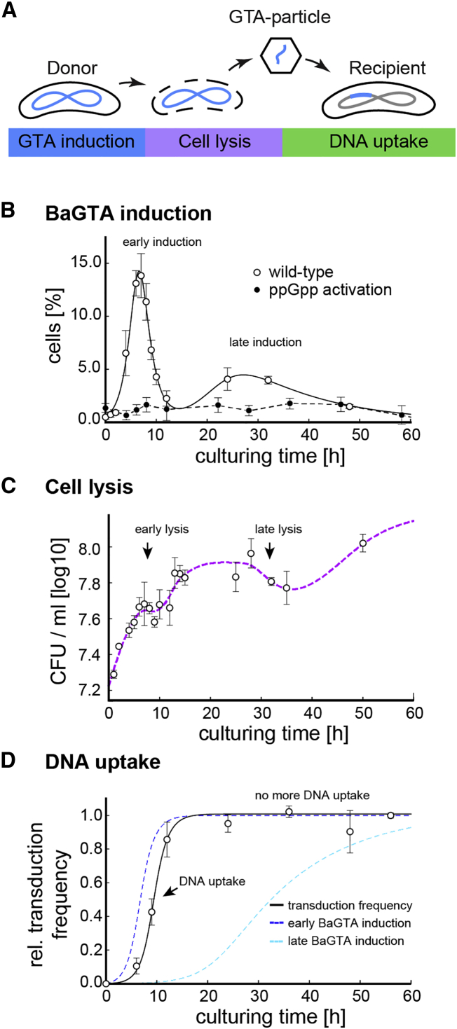 Figure 1