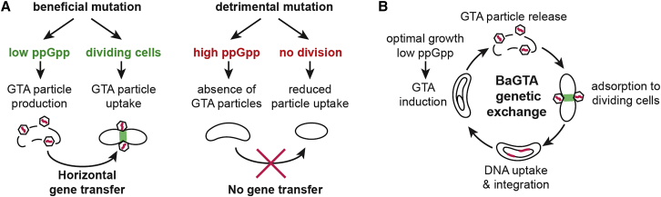 Figure 5