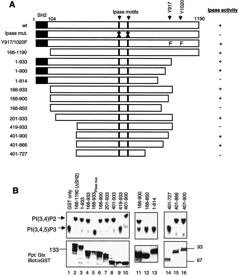 FIG. 1