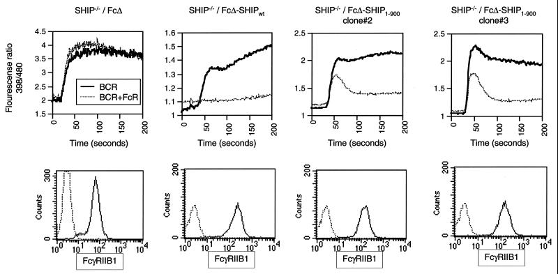 FIG. 7