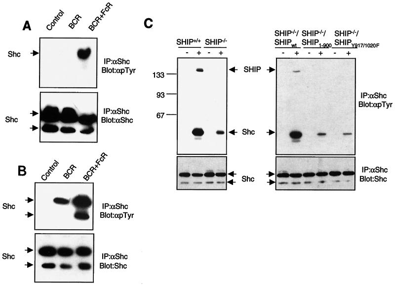 FIG. 5