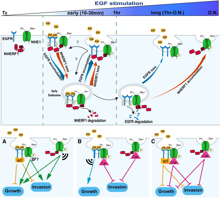 Figure 6