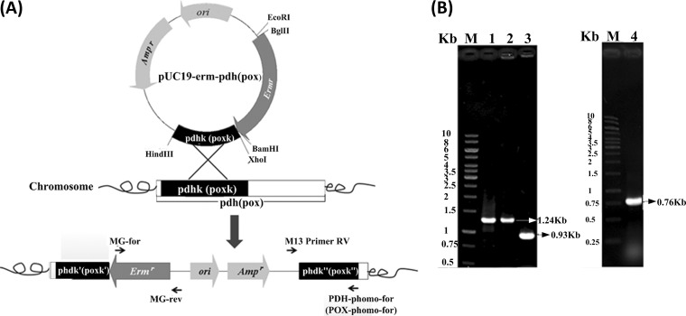 FIG 3