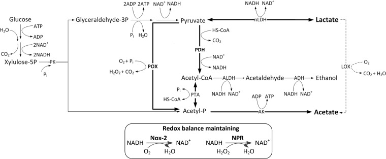 FIG 2