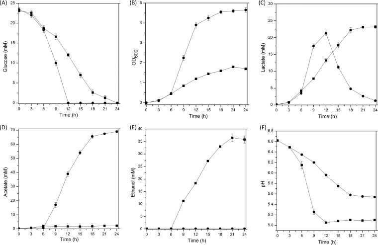 FIG 1