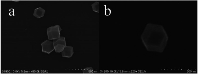 Fig. 5