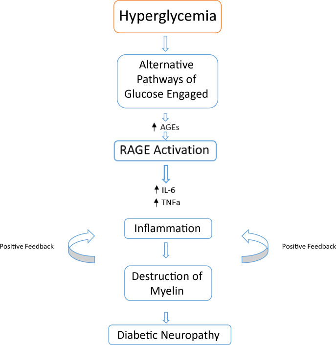 Figure 5