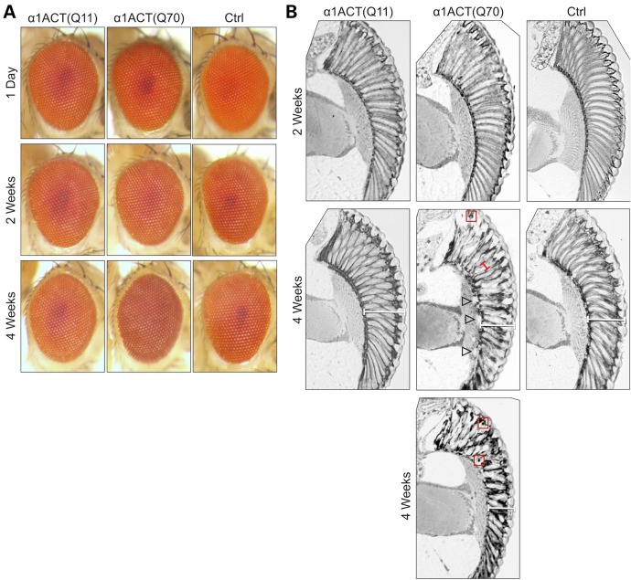 Figure 3.