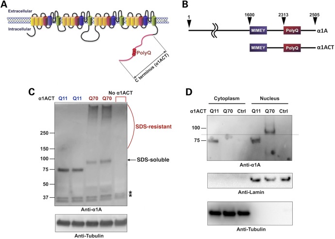 Figure 1.