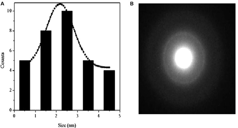 FIGURE 3