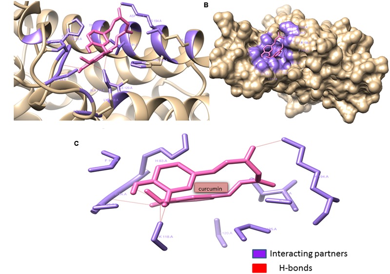 FIGURE 12