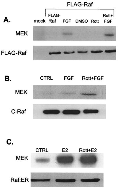 FIG. 8