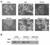 FIG. 11