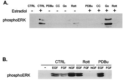 FIG. 5