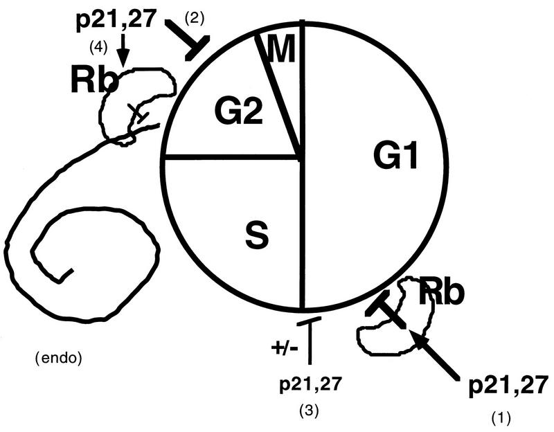 FIG. 8