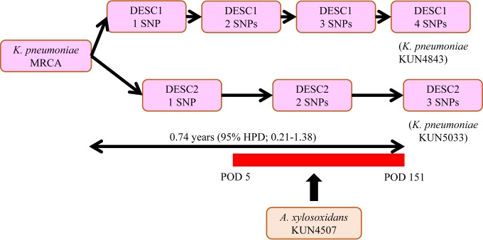 FIG 3