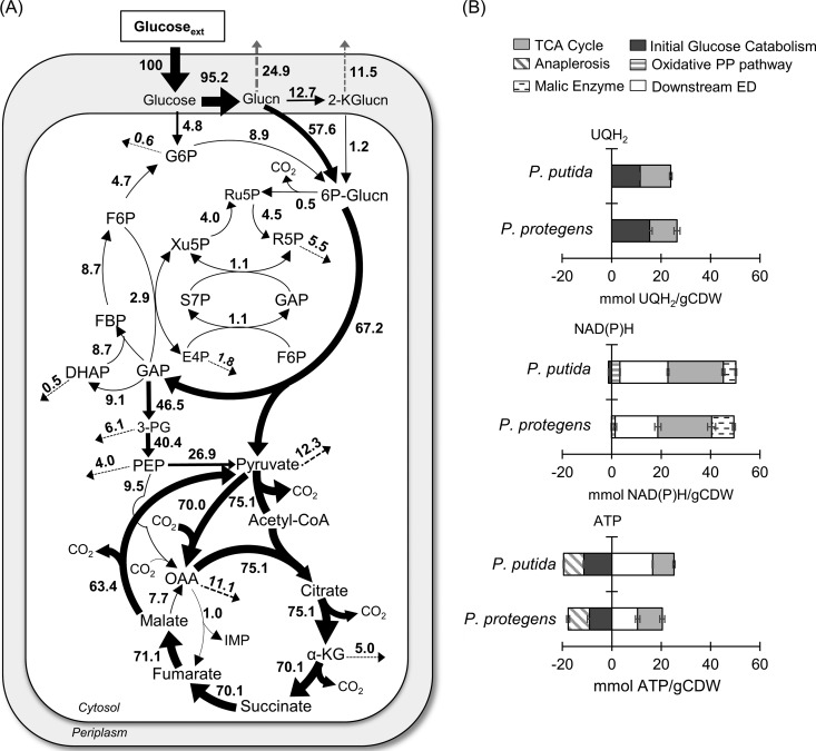 FIG 4