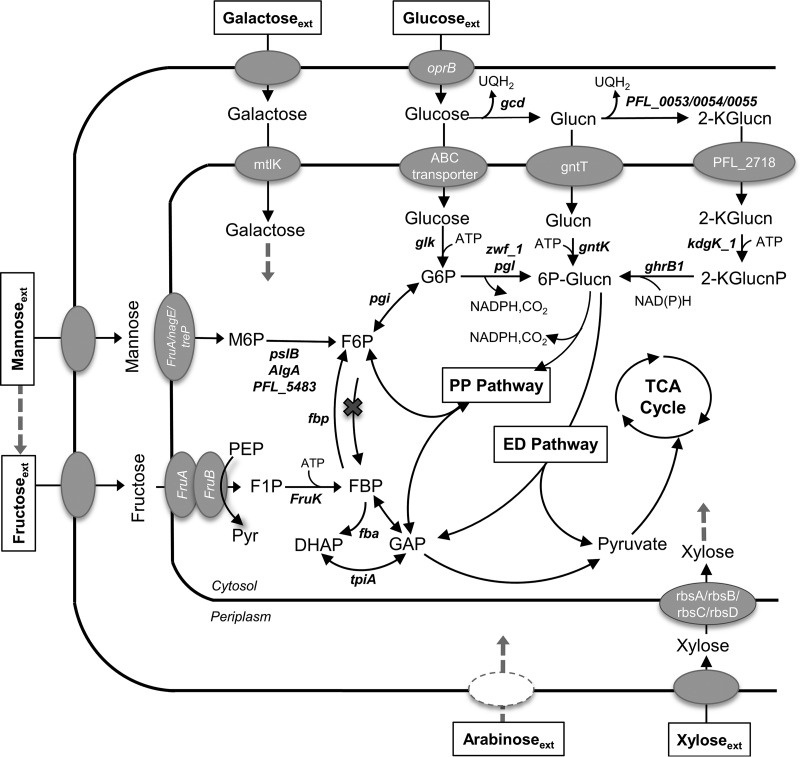 FIG 1