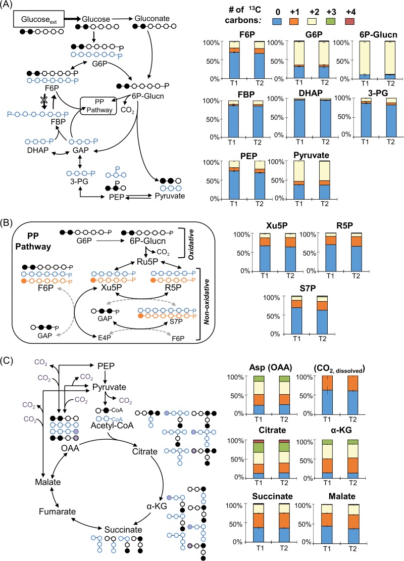 FIG 3