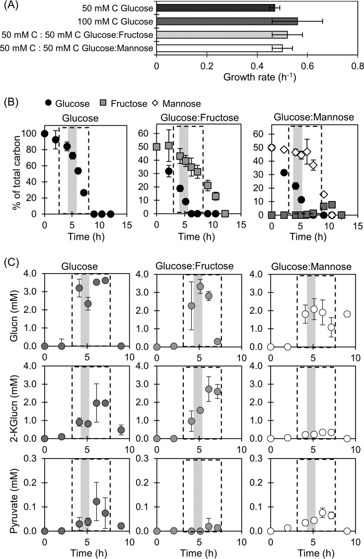 FIG 2