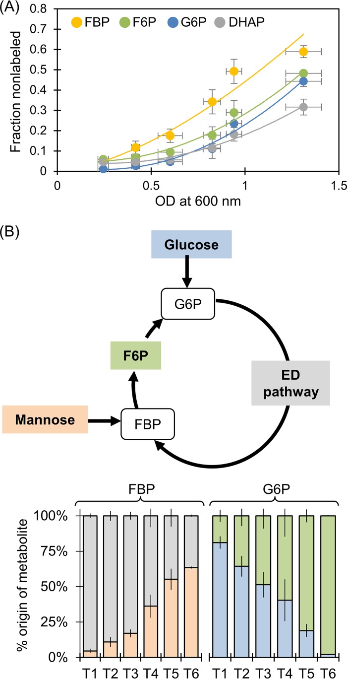 FIG 8