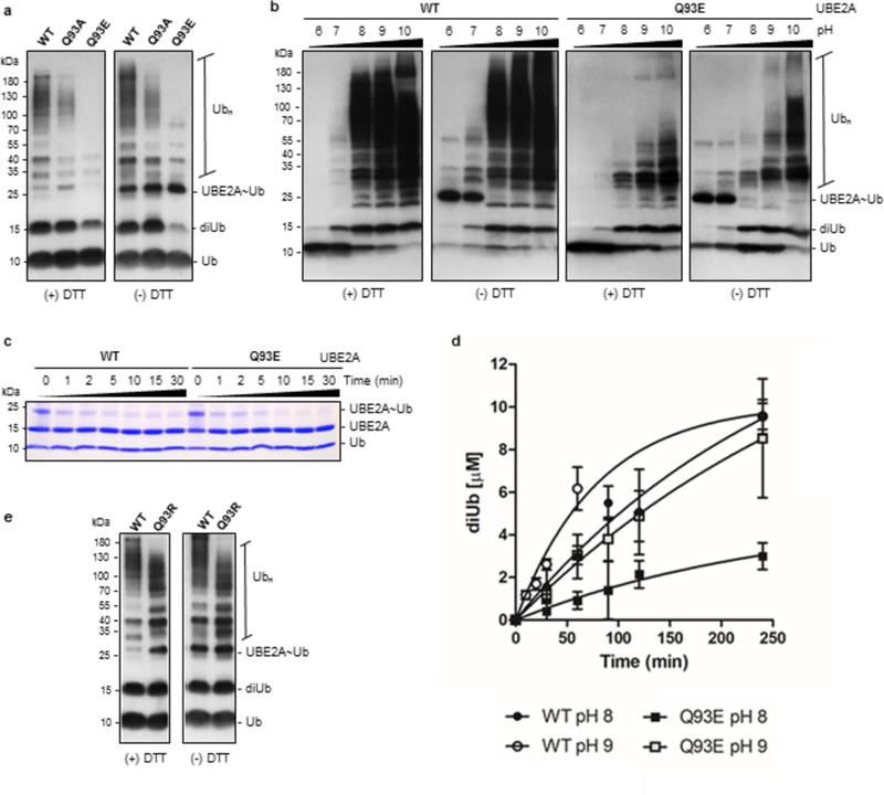 Figure 5: