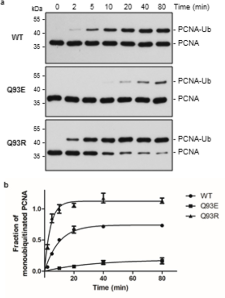 Figure 6: