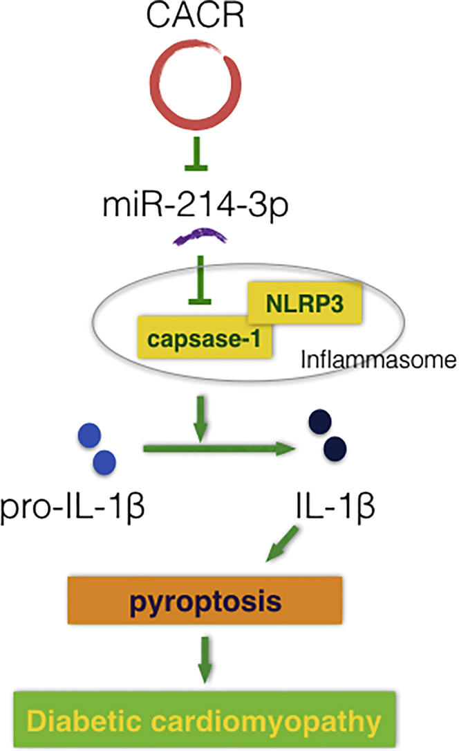 Figure 6